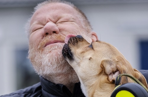 Njurcancer: Leifs smärta var inte njursten utan njurcancer – nu berättar han om vägen tillbaka!
